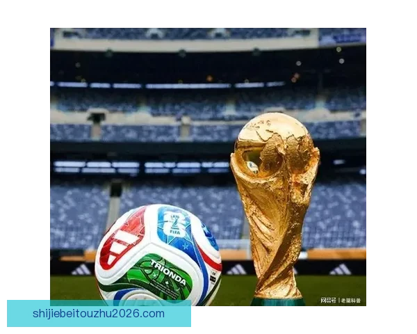 FIFA转播费高达二十亿球迷质疑官网无中文版不够尊重用户